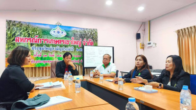 นางสาวมณีรัตน์ สิงหรา ณ อยุธยา ... พารามิเตอร์รูปภาพ 1